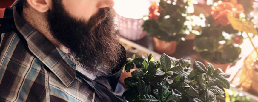 Norse Organics Review 2026: Natural Skin and Beard Care That Actually Works?